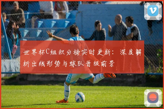 世界杯C组积分榜实时更新：深度解析出线形势与球队晋级前景